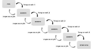 תרשים 5 למה. לחצו להגדלה וצבע.