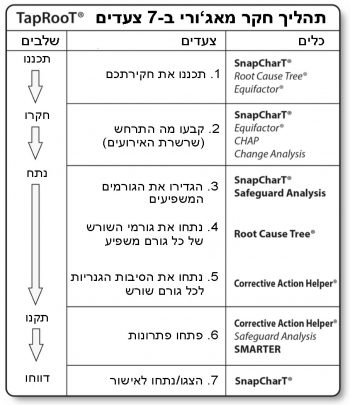 טלבת התהליך של 7 צעדים