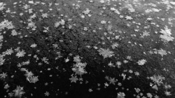 Illustration: snowflakes
